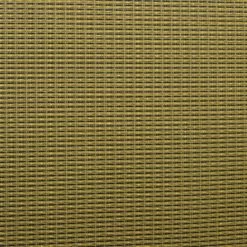 Beige/Brown, Gold Stripe Grill Cloth, 59