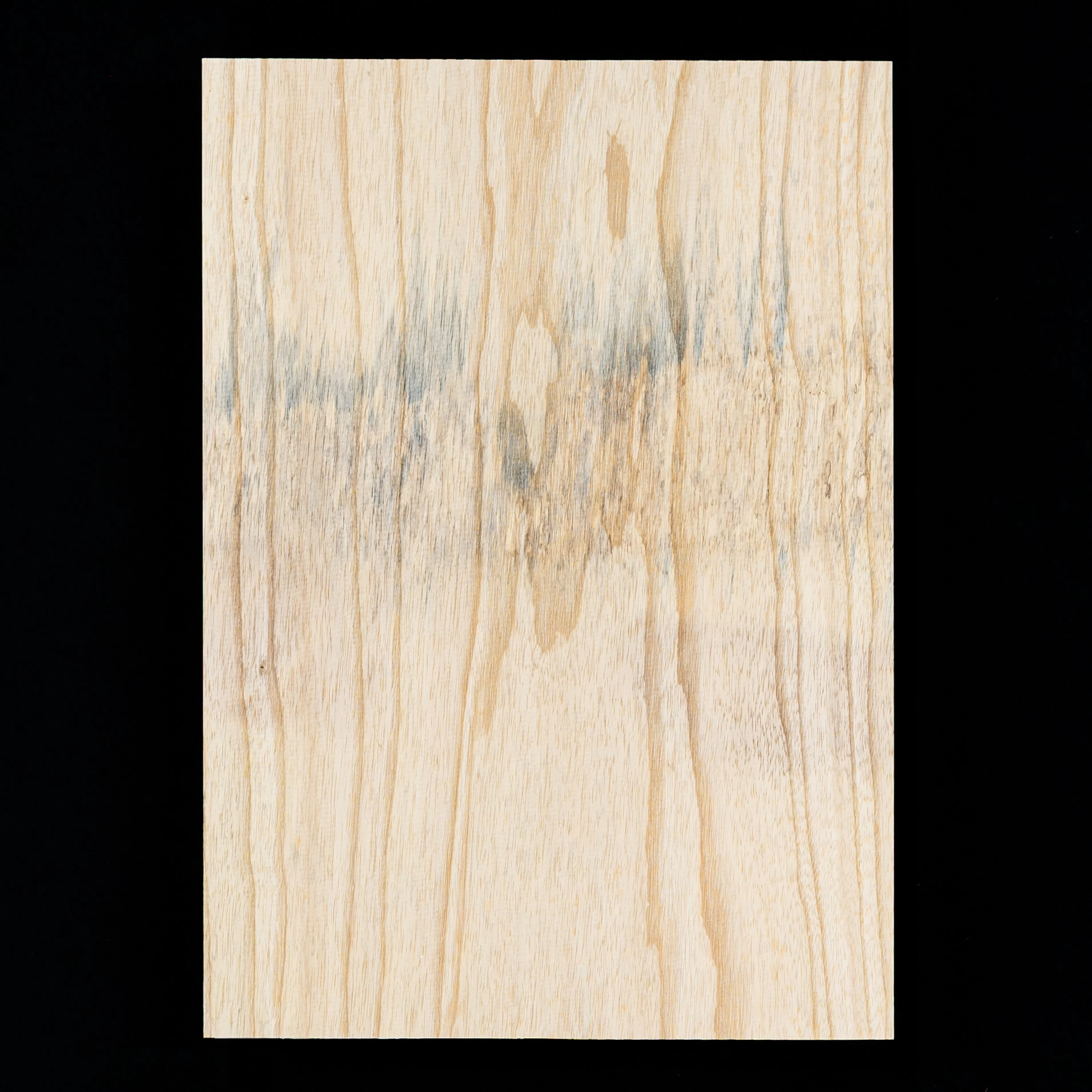 Swamp Ash Body Blank, 1-Piece (8 Lb) - 433 - StewMac - Image 2